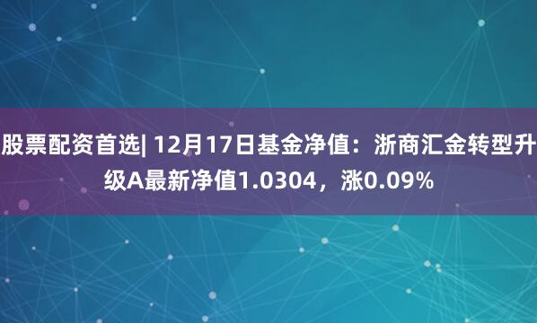   股票配资首选| 12月17日基金净值：浙商汇金转型升级A最新净值1.0304，涨0.09%