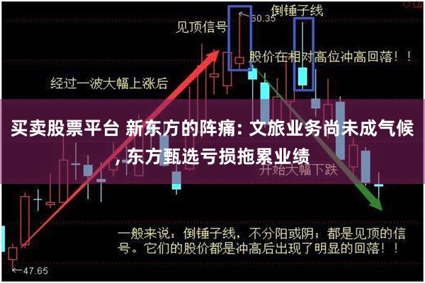 买卖股票平台 新东方的阵痛: 文旅业务尚未成气候, 东方甄选亏损拖累业绩