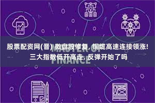 股票配资网(晋) 微盘股修复, 铜缆高速连接领涨! 三大指数低开高走, 反弹开始了吗