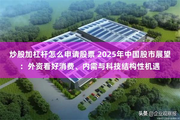 炒股加杠杆怎么申请股票 2025年中国股市展望：外资看好消费、内需与科技结构性机遇