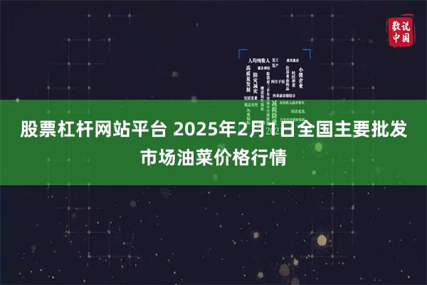 股票杠杆网站平台 2025年2月1日全国主要批发市场油菜价格行情