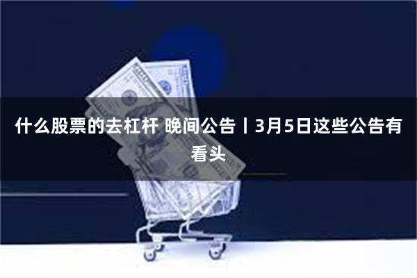 什么股票的去杠杆 晚间公告丨3月5日这些公告有看头